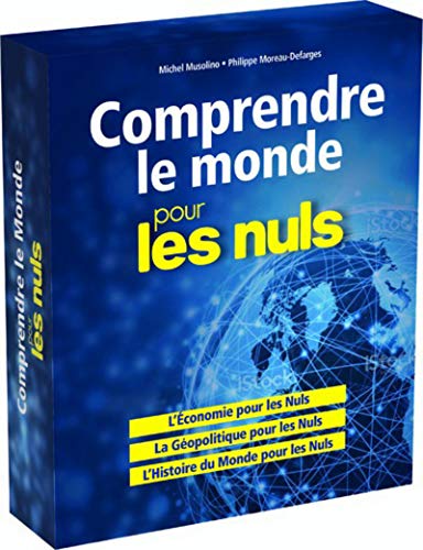 Imagen de archivo de Comprendre Le Monde Pour Les Nuls a la venta por RECYCLIVRE