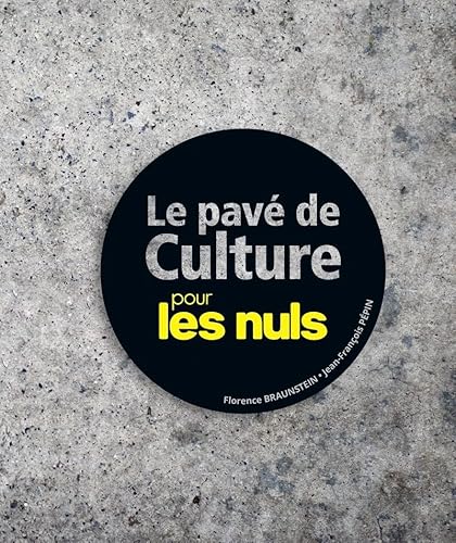 Stock image for Le Pav de culture pour les Nuls for sale by medimops