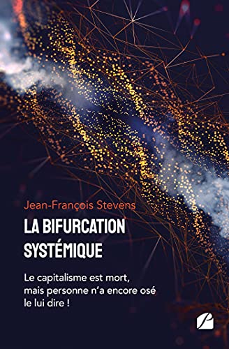 Imagen de archivo de La bifurcation systmique: Le capitalisme est mort, mais personne n'a encore os le lui dire ! a la venta por Librairie Th  la page