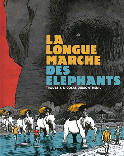 Beispielbild fr La longue marche des lphants (French Edition) zum Verkauf von Gallix