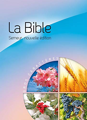 Imagen de archivo de La Bible version semeur 2015 avec couverture rigide bleue et rose illustre a la venta por Revaluation Books