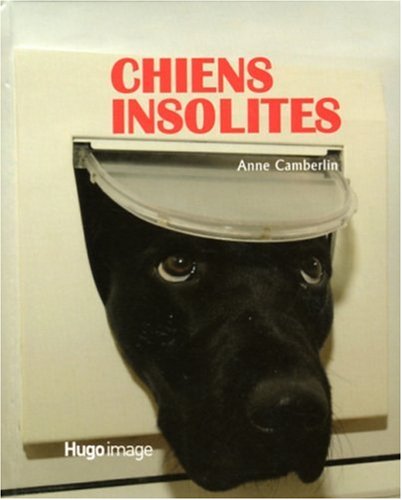 Imagen de archivo de Chiens insolites a la venta por AwesomeBooks
