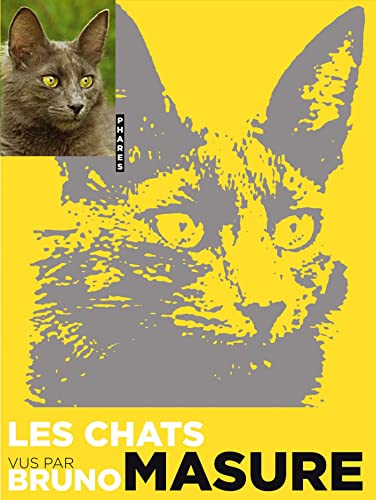 Stock image for Les chats vus par Bruno Masure for sale by Ammareal