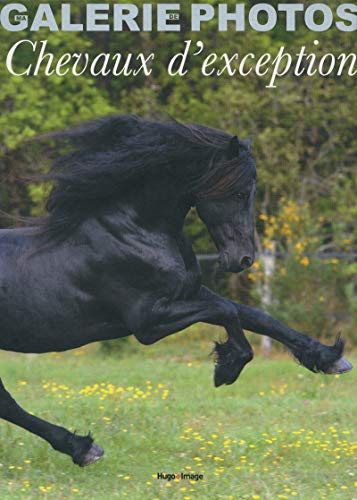 Stock image for Coffret ma galerie de photos chevaux d'exception for sale by Ammareal