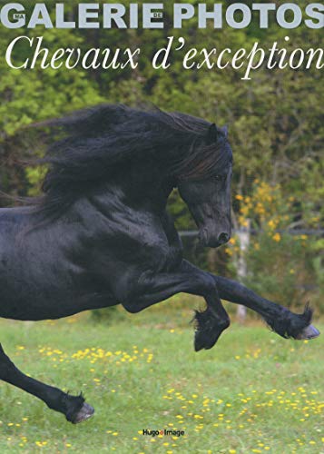 9782755611052: Coffret ma galerie de photos chevaux d'exception (French Edition)