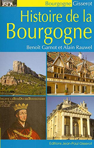 Stock image for Histoire de la Bourgogne for sale by Ammareal