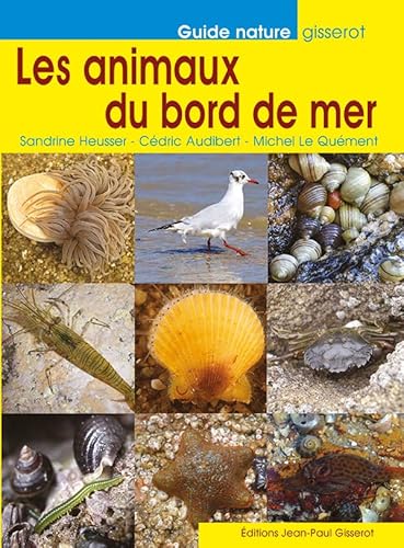 Stock image for Les animaux du bord de mer for sale by LiLi - La Libert des Livres
