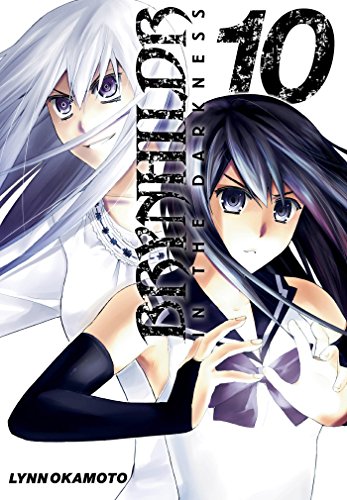 9782756069081: Brynhildr in the Darkness T10 (Seinen Tonkam)