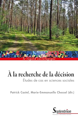 Stock image for  la recherche de la dcision: tudes de cas en sciences sociales for sale by Gallix