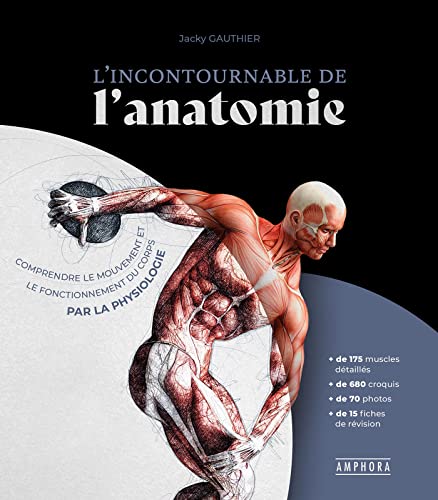 Beispielbild fr L'INCONTOURNABLE DE L'ANATOMIE: Comprendre le mouvement et le fonctionnement du corps par la physiologie zum Verkauf von WorldofBooks