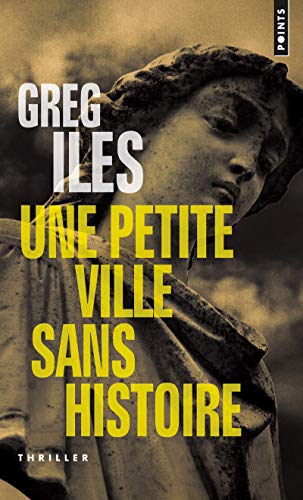 Beispielbild fr Une Petite Ville Sans Histoire zum Verkauf von RECYCLIVRE