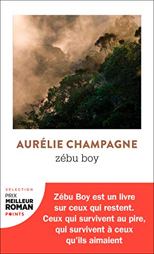 Imagen de archivo de Zbu Boy [Poche] Champagne, Aurlie a la venta por BIBLIO-NET