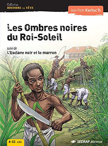 Beispielbild fr Les ombres noires du roi soleil zum Verkauf von Ammareal