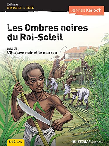 Stock image for Les ombres noires du roi soleil for sale by Ammareal