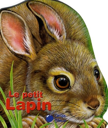 9782758302414: Petit Lapin (Mes Compagnons)