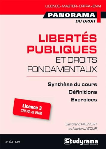 Stock image for Liberts publiques et droits fondamentaux for sale by Ammareal