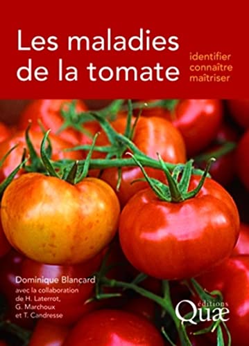 Stock image for Les maladies de la tomate: Identifier, connatre, matriser for sale by Gallix