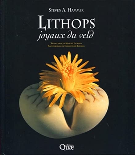 Beispielbild fr Lithops, joyaux du veld zum Verkauf von Gallix