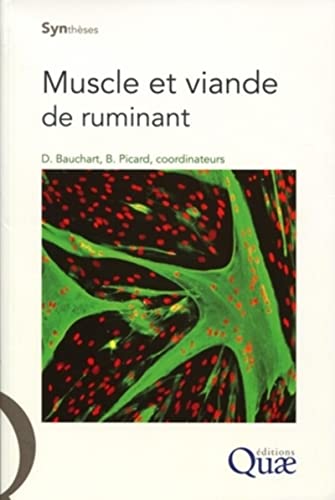 Stock image for Muscle et viande de ruminant Brigitte Picard et Dominique Bauchard for sale by Au bon livre