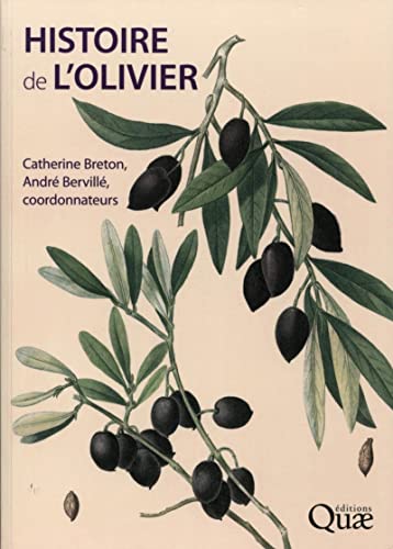 Imagen de archivo de Histoire de l'olivier : L'arbre des temps a la venta por Revaluation Books