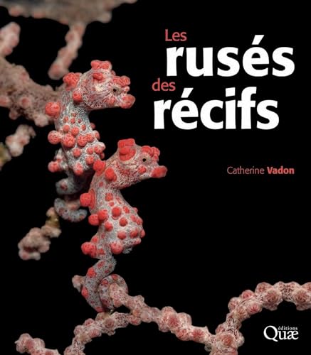 Beispielbild fr Les russ des rcifs zum Verkauf von Gallix