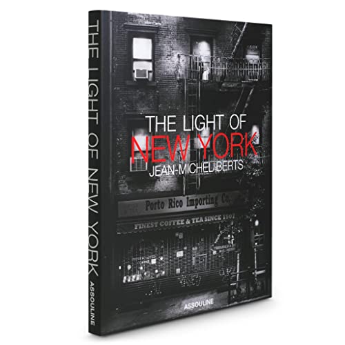 Stock image for The Light of New York for sale by Russell Books