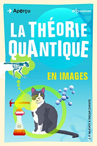 Imagen de archivo de la thorie quantique en images a la venta por Chapitre.com : livres et presse ancienne