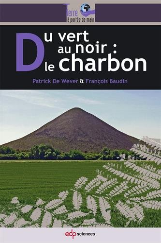 Stock image for Du vert au noir le charbon for sale by Ammareal
