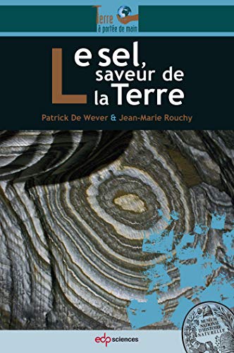 Stock image for Le sel, saveur de la Terre for sale by Ammareal