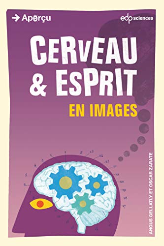 Beispielbild fr Cerveau & esprit en images zum Verkauf von medimops