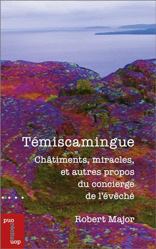 9782760335141: Tmiscamingue: chtiments, miracles, et autres propos du concierge de l'vch (Essais et fiction)