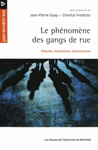 9782760632509: Phnomne des gangs de rue (Le): Thories, valuations, interventions: 0000