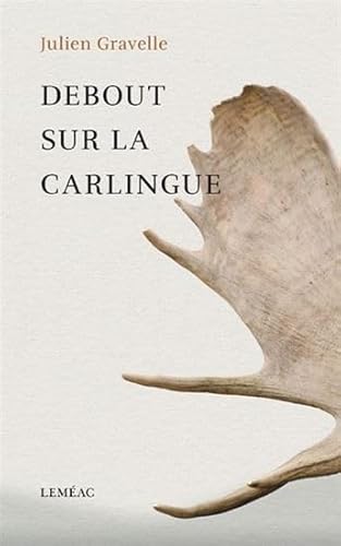 Beispielbild fr DEBOUT SUR LA CARLINGUE zum Verkauf von Librairie La Canopee. Inc.