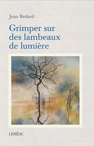 Beispielbild fr GRIMPER SUR DES LAMBEAUX DE LUMIERE zum Verkauf von Gallix