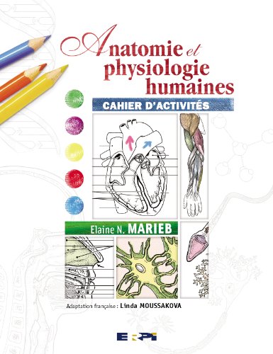 Beispielbild fr Anatomie & physiologie cahier marieb zum Verkauf von Better World Books