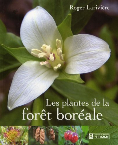 9782761923132: les plantes de la foret boreale