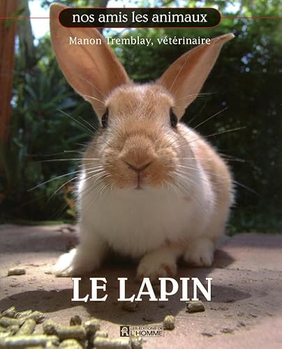 Beispielbild fr Le lapin zum Verkauf von medimops