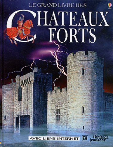 Grand Livre des Chateaux Forts (9782762518405) by Lesley Sims