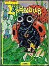 Beispielbild fr Little Ladybug (Who's There?) zum Verkauf von Wonder Book