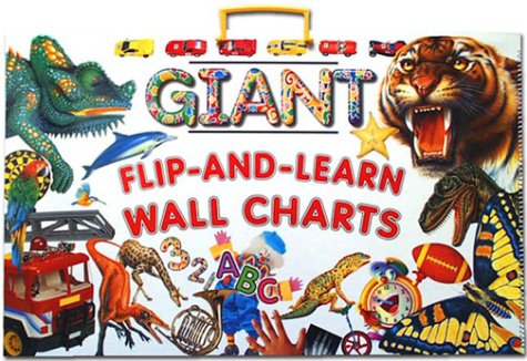9782764104903: Giant Flip-and-Learn Wall Charts: 2764104901 - AbeBooks