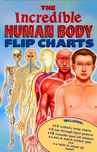 Beispielbild fr Incredible Human Body zum Verkauf von WorldofBooks