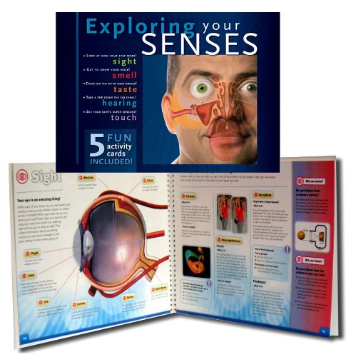 Stock image for Exploring Your Senses for sale by HPB Inc.