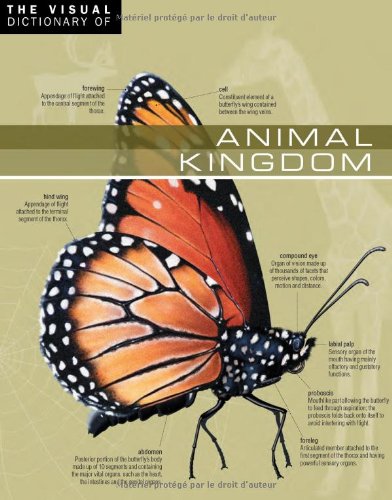 The Visual Dictionary of Animal Kingdom: Animal Kingdom (French Edition) (9782764408797) by Archambault, Ariane