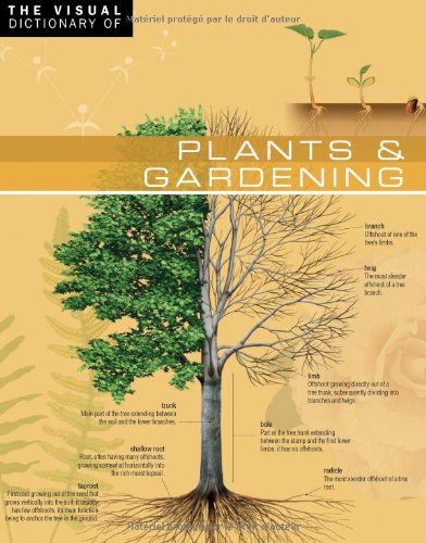 The Visual Dictionary of Plants & Gardening: Plants & Gardening (French Edition) (9782764408865) by Archambault, Ariane