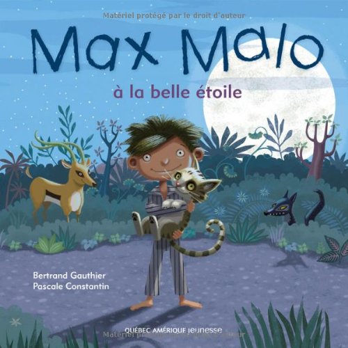 9782764410134: Max Malo 02 - Max Malo  la belle toile (French Edition)