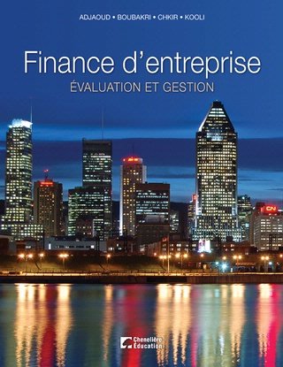 Beispielbild fr Finance D'entreprise : valuation et Gestion Financire zum Verkauf von Better World Books