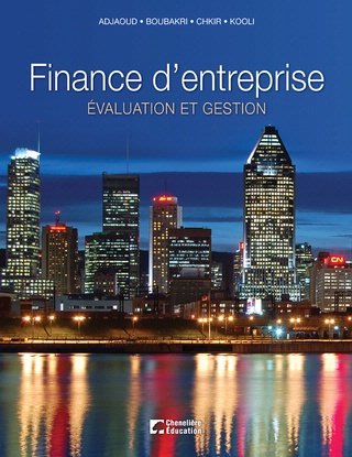 Stock image for Finance D'entreprise : valuation et Gestion Financire for sale by Better World Books