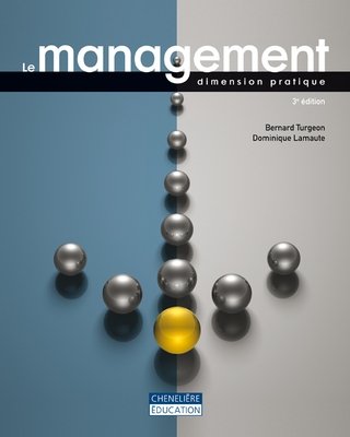 Stock image for Management : Dimension Pratique for sale by Better World Books