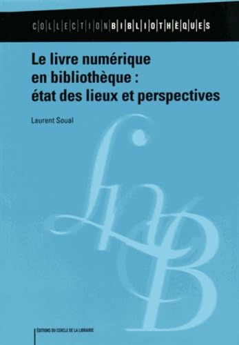 Beispielbild fr Le livre numrique en bibliothque : tat des lieux et perspectives zum Verkauf von Ammareal