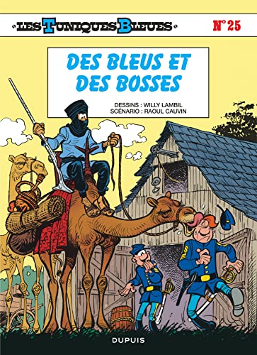 Beispielbild fr DES BLEUS ET DES BOSSES. zum Verkauf von Librairie Th  la page